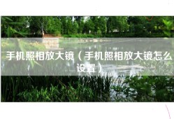 手机照相放大镜（手机照相放大镜怎么设置）