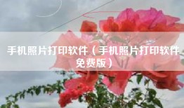 手机照片打印软件（手机照片打印软件免费版）