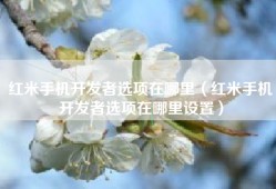 红米手机开发者选项在哪里（红米手机开发者选项在哪里设置）