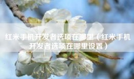 红米手机开发者选项在哪里（红米手机开发者选项在哪里设置）