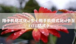 用手机格式化sd卡（用手机格式化sd卡至FAT32格式）