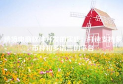跨境电商软件开发的实践：打造支持多币种和多语言的平台