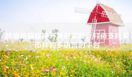 跨境电商软件开发的实践：打造支持多币种和多语言的平台