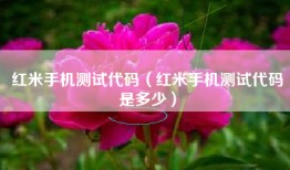 红米手机测试代码（红米手机测试代码是多少）
