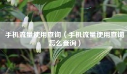 手机流量使用查询（手机流量使用查询怎么查询）