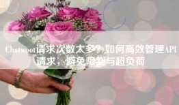 Chatwoot请求次数太多？如何高效管理API请求，避免限制与超负荷