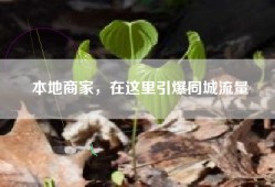 本地商家，在这里引爆同城流量