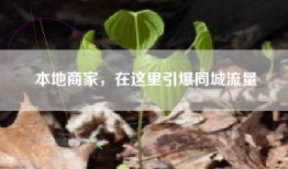 本地商家，在这里引爆同城流量
