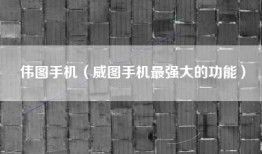 伟图手机（威图手机最强大的功能）