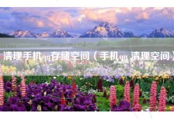 清理手机qq存储空间（手机qq 清理空间）