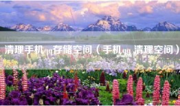 清理手机qq存储空间（手机qq 清理空间）