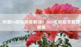 阿里P6级别深度解读：2024年职业发展新视角