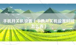 手机开关机设置（手机开关机设置时间怎么弄）