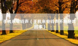 手机来电铃声（手机来电铃声不响是咋回事）