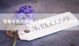 苹果手机的弊端（苹果最新版手机是哪款）