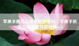 苹果手机怎么设置软件密码（苹果手机怎么设置软件密码锁6s）