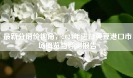 最新分销价视角，2024年进口黄豆港口市场概览与评测报告