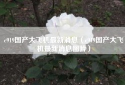 c919国产大飞机最新消息（c919国产大飞机最新消息图片）