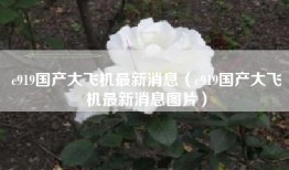 c919国产大飞机最新消息（c919国产大飞机最新消息图片）