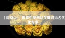 「南京SEO」搜索引擎网站关键词排名优化专家