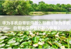 华为手机自带软件怎么卸载（华为手机自带软件卸载后怎么恢复）