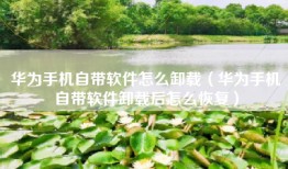 华为手机自带软件怎么卸载（华为手机自带软件卸载后怎么恢复）