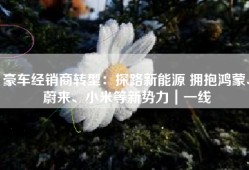 豪车经销商转型：探路新能源 拥抱鸿蒙、蔚来、小米等新势力｜一线