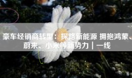 豪车经销商转型：探路新能源 拥抱鸿蒙、蔚来、小米等新势力｜一线