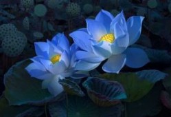 吉具泰汽车配件，吉具泰汽车配件怎么样