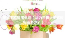华为手机客服电话（华为手机人工客服电话多少？）