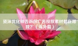 资深优化师告诉你广告投放素材都在哪找？（海外篇）