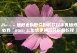 iPhone 5s 维修更换部件拆解教程手机维修教程「iPhone 5s 维修更换部件拆解教程」