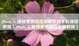 iPhone 5s 维修更换部件拆解教程手机维修教程「iPhone 5s 维修更换部件拆解教程」