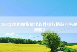 2024年国内期货量化软件排行榜前四名是哪些？