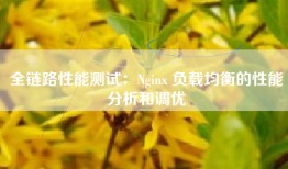 全链路性能测试：Nginx 负载均衡的性能分析和调优