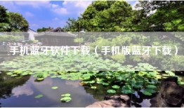手机蓝牙软件下载（手机版蓝牙下载）