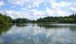 2023年度桃江县科学技术协会部门决算