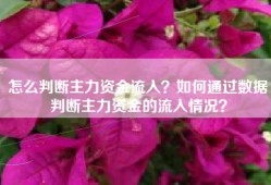 怎么判断主力资金流入？如何通过数据判断主力资金的流入情况？