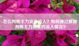 怎么判断主力资金流入？如何通过数据判断主力资金的流入情况？