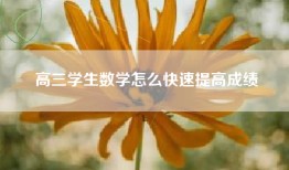 高三学生数学怎么快速提高成绩