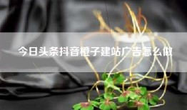 今日头条抖音橙子建站广告怎么做