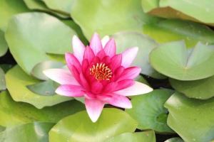 慎的意思