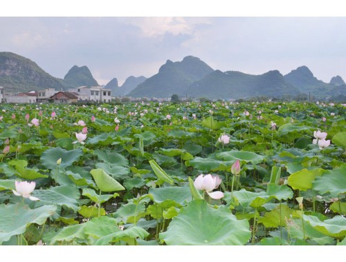 2024年端午节是几号 2024年端午节斋醮是吉日吗