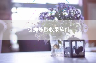 引蜘蛛秒收录软件