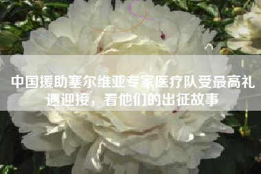 中国援助塞尔维亚专家医疗队受最高礼遇迎接，看他们的出征故事
