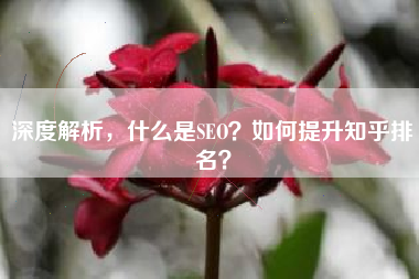 深度解析，什么是SEO？如何提升知乎排名？