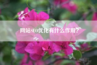 网站SEO优化有什么作用？