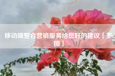移动端整合营销服务给您好的建议「多图」