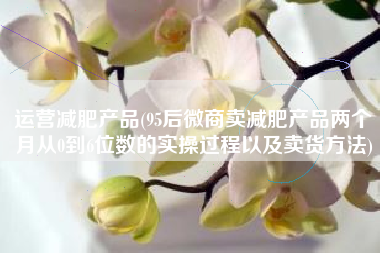 运营减肥产品(95后微商卖减肥产品两个月从0到6位数的实操过程以及卖货方法)