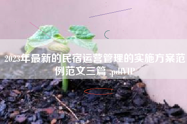 2023年最新的民宿运营管理的实施方案范例范文三篇 .pdfVIP